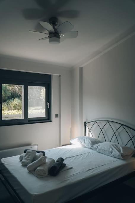 Rio Deluxe Villa Εξωτερικό φωτογραφία